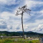 ★東日本大震災から15年が経ちました